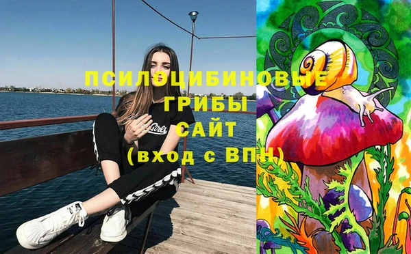 МДПВ Магадан