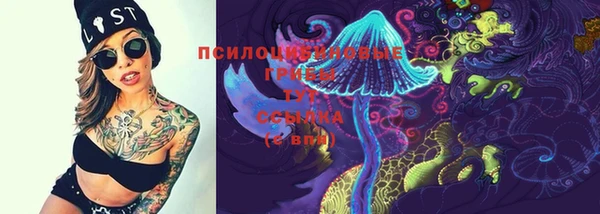 гидропоника Магас